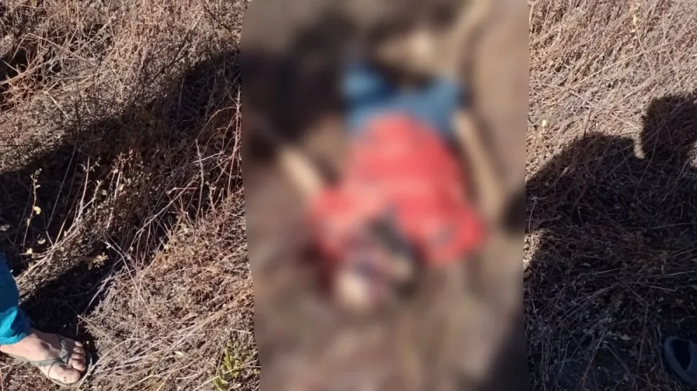 Dois homens morrem após carro capotar na BR-020 próximo ao acesso para Pio IX — imagem 2