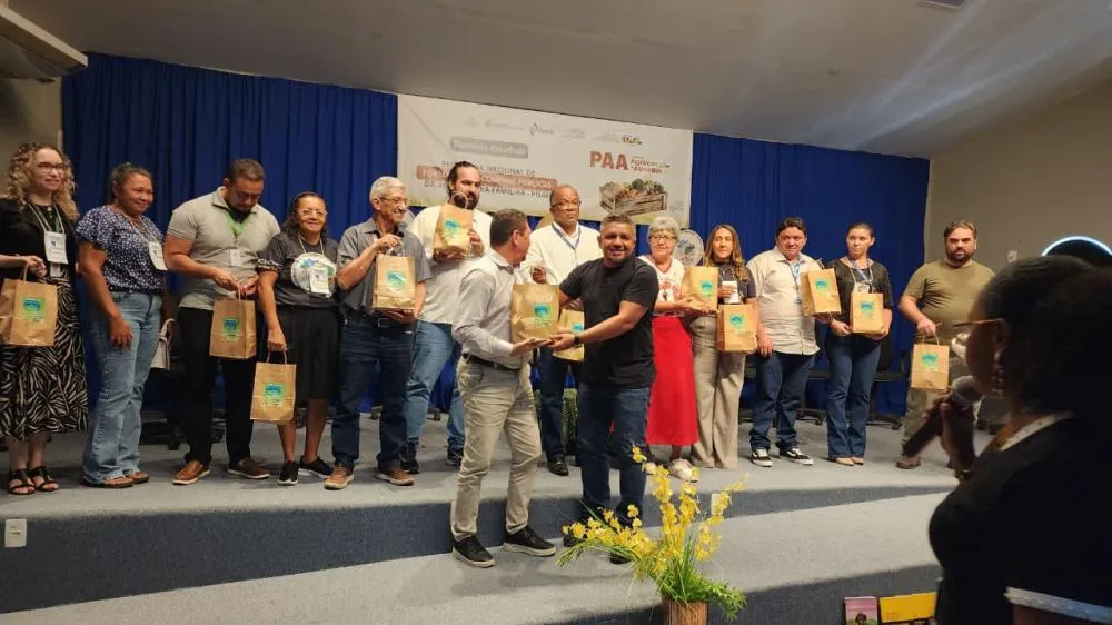 Colônia do Piauí ultrapassa R$ 1 milhão em vendas por meio de compras públicas da agricultura familiar — imagem 1