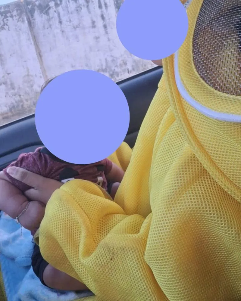 Cadela morre após ataque de abelhas e Corpo de Bombeiros resgata mãe e recém-nascido em Oeiras — imagem 1