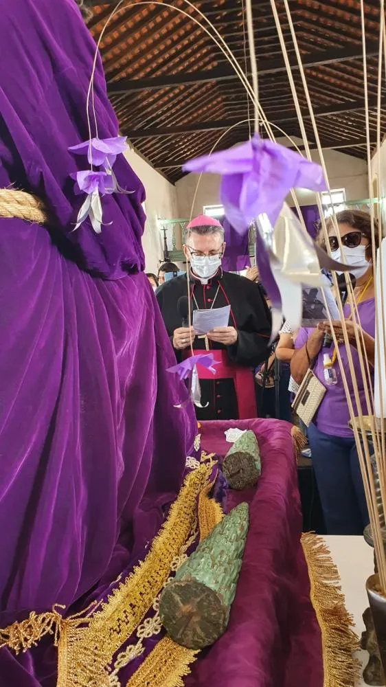 Flores de Passos são declaradas Patrimônio Cultural de Oeiras — imagem 3