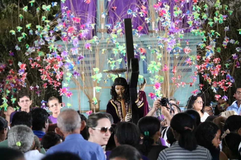 Flores de Passos são declaradas Patrimônio Cultural de Oeiras — imagem 2