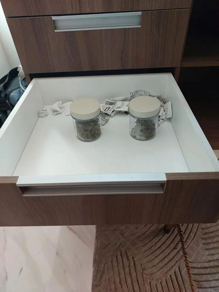 Polícia Civil apreende maconha, sementes e materiais para cultivo em residência no Centro Histórico de Oeiras — imagem 5