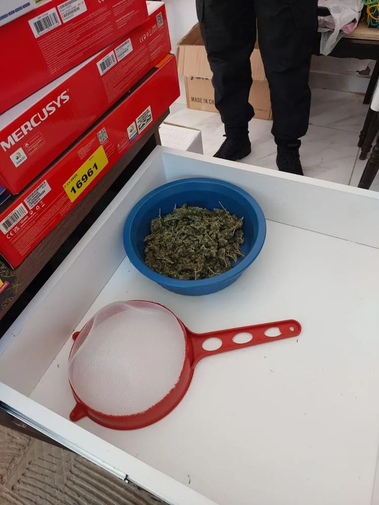 Polícia Civil apreende maconha, sementes e materiais para cultivo em residência no Centro Histórico de Oeiras — imagem 3