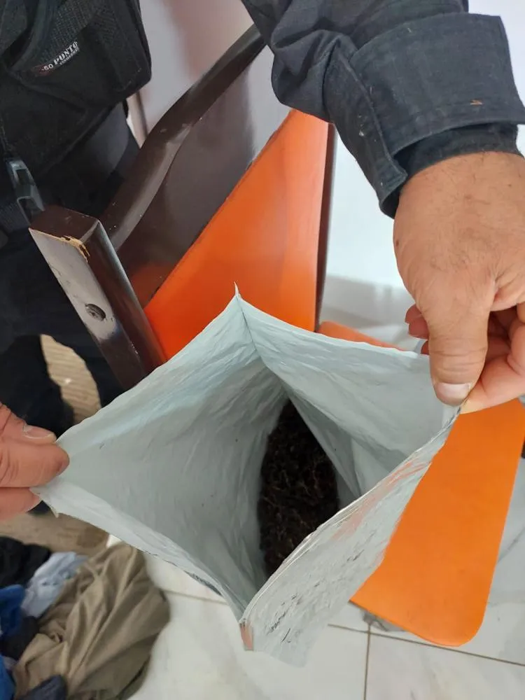Polícia Civil apreende maconha, sementes e materiais para cultivo em residência no Centro Histórico de Oeiras — imagem 7