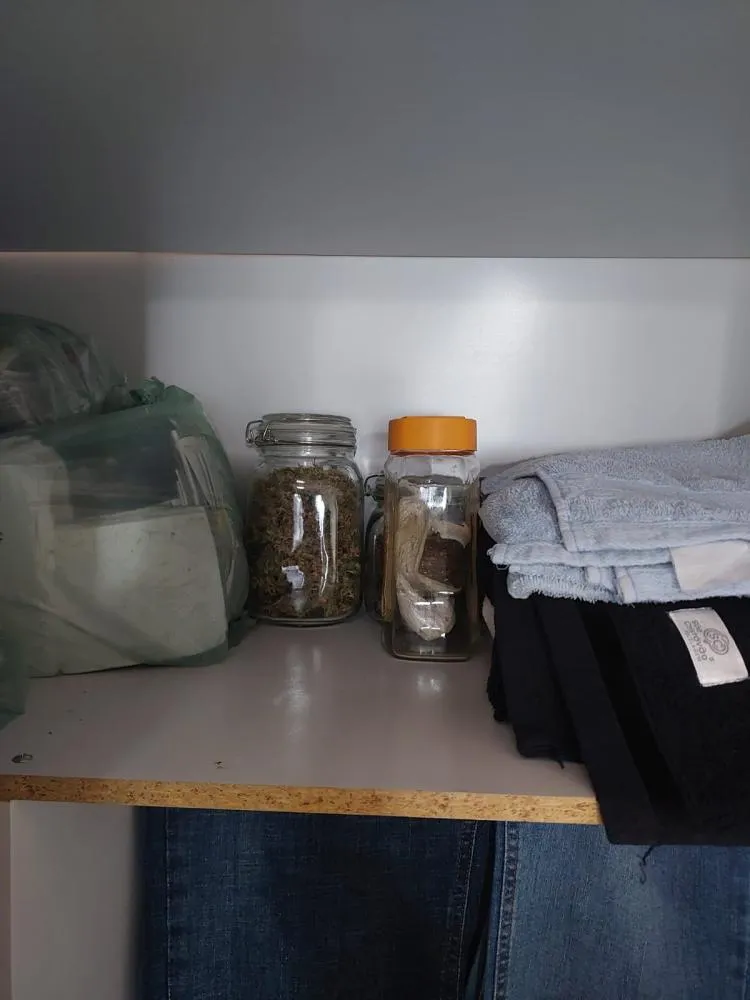 Polícia Civil apreende maconha, sementes e materiais para cultivo em residência no Centro Histórico de Oeiras — imagem 6