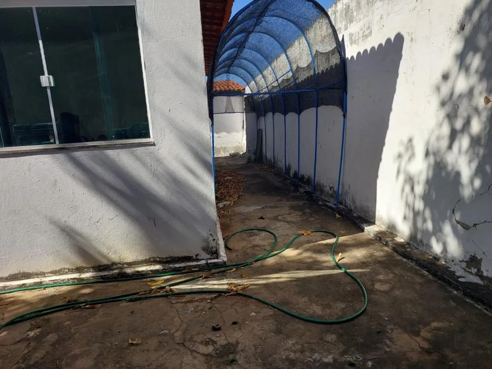 Polícia Civil apreende maconha, sementes e materiais para cultivo em residência no Centro Histórico de Oeiras — imagem 2