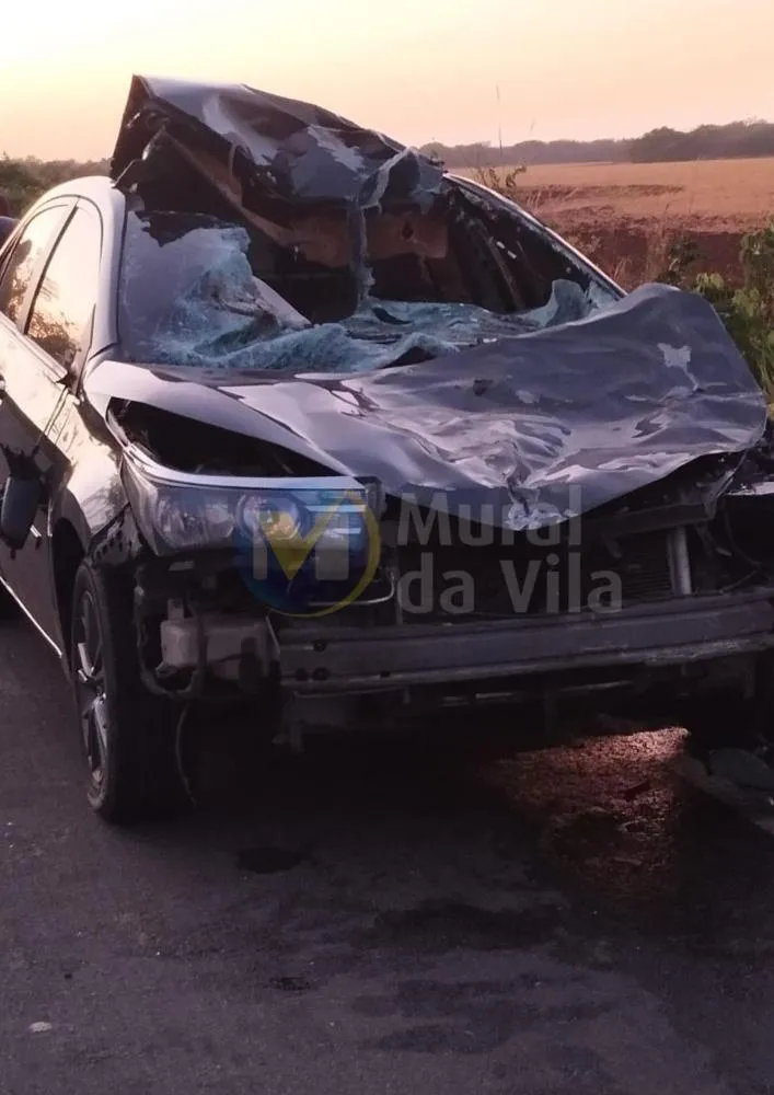 Carro que seguia de Oeiras para Teresina colide com boi na PI-236 e deixa duas pessoas ferida — imagem 1