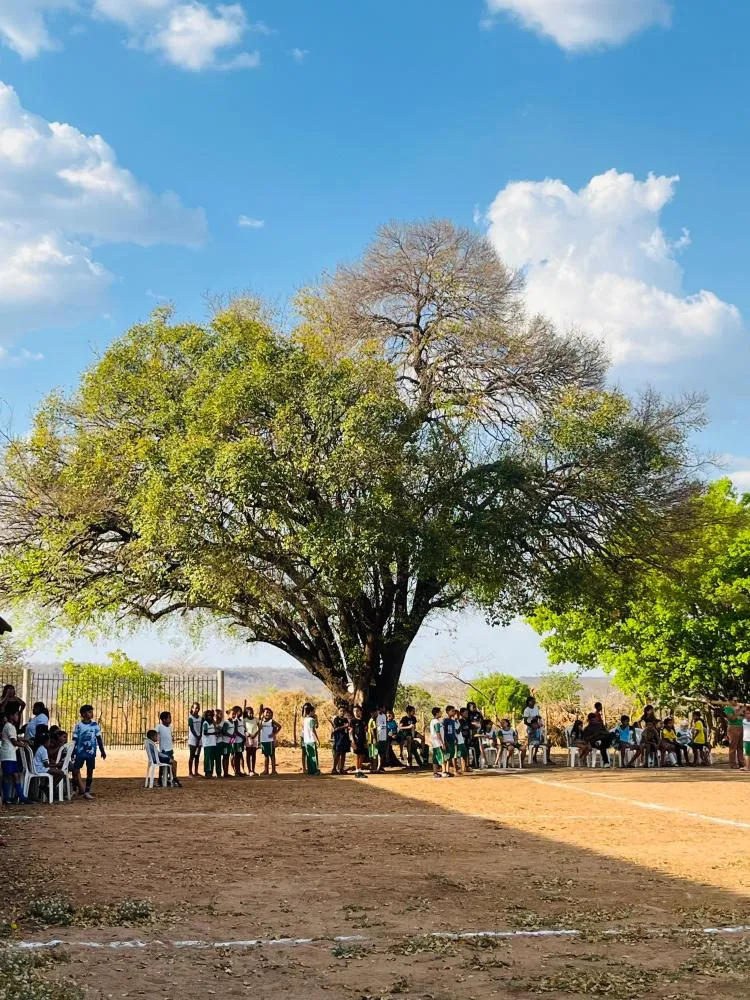 Fundação Asas realiza campeonato alusivo ao Dia das Crianças e arrecada donativos para família atingida por incêndio …