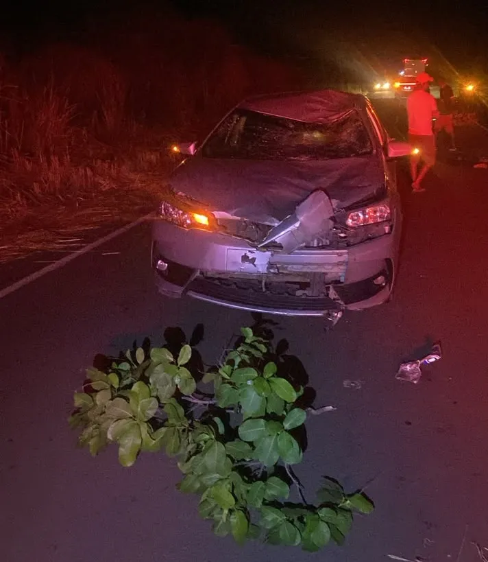 Ciclista morre após ser atropelado por Corolla na PI-236, na região do povoado Contentamento — imagem 1