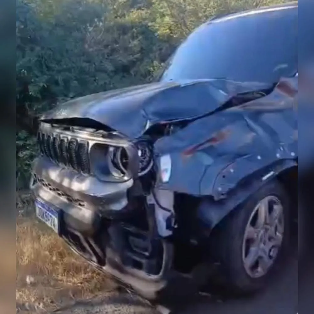 Veículo colide com vacas soltas na PI-143 entre Oeiras e Colônia do Piauí